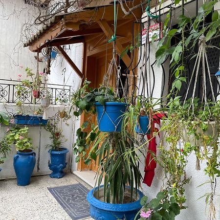 Casa Zitouna - Guest House - Kef, Tunisia Sicca Veneria 외부 사진