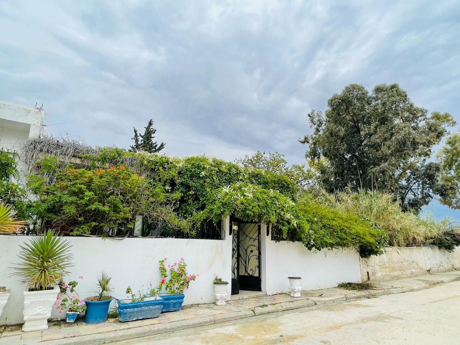 Casa Zitouna - Guest House - Kef, Tunisia Sicca Veneria 외부 사진